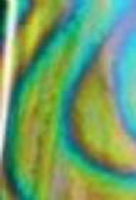 EDGE Foil Wrap Rainbow Swirl