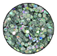 NSI Petite Diamond Glitter Silver Hologram  NEW LOWER PRICE