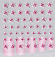 Nailtopia Stickers Dried Flower Pink & White Godetia